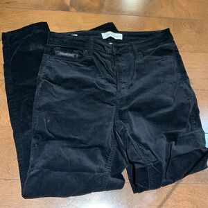 Velvet Calvin Klein jeans